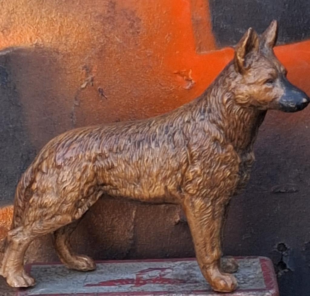 Duitse herder.  Polychroom gips.  Ca 1920.  20/15.cm., Ophalen, Zo goed als nieuw, Hond of Kat, Beeldje of Figuurtje