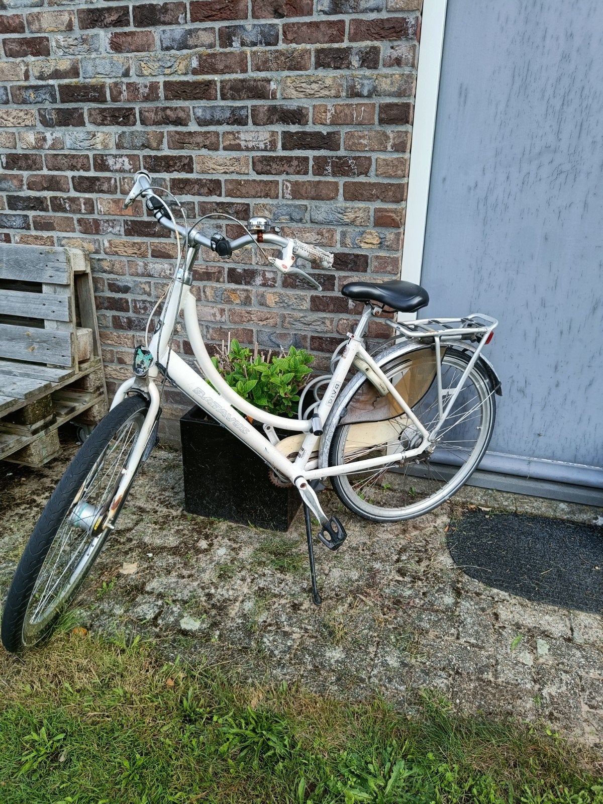 Batavus Diva Damesfiets - Opknapper, Ophalen, Gebruikt, Versnellingen, Batavus