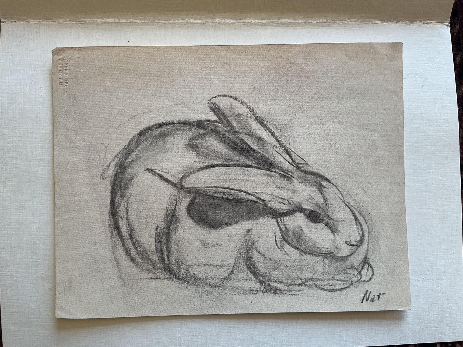 W.H. Van der Nat krijttekening konijn, Antiek en Kunst, Verzenden