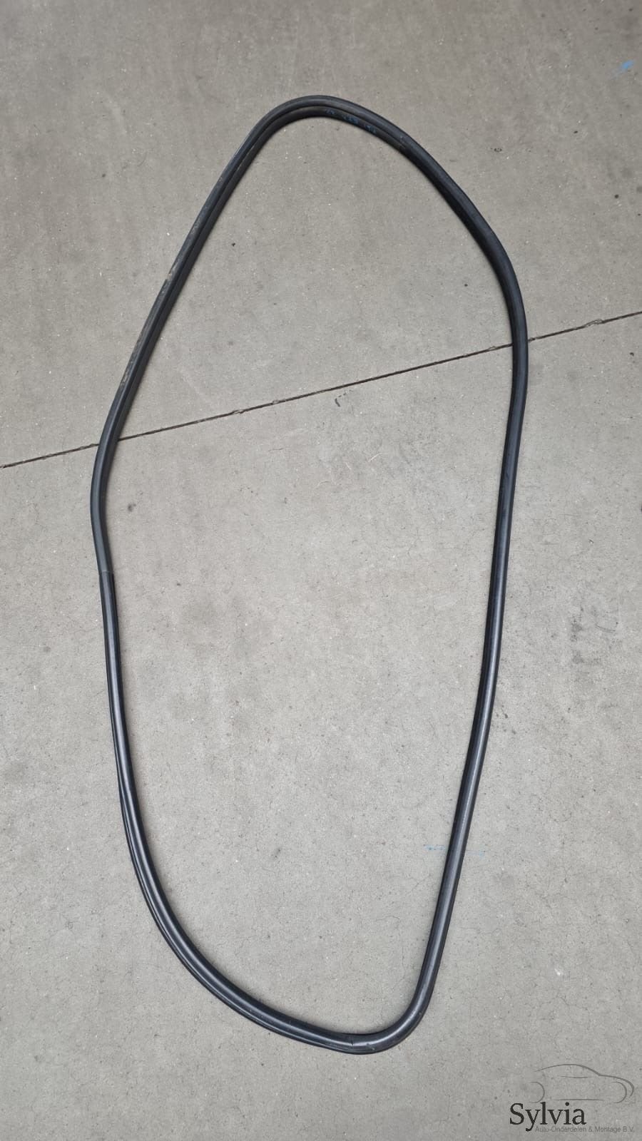 Portier deurrubber voorzijde BMW X5 E70 51767207223 7207223, Auto-onderdelen, Gebruikt, -, -, Ophalen of Verzenden
