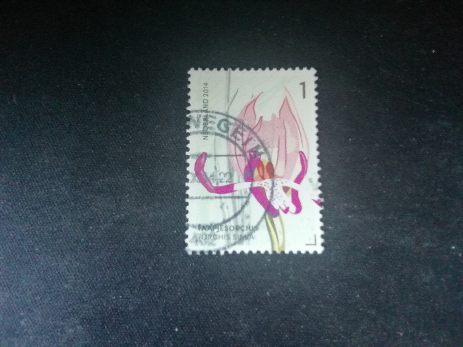 NEDERLAND AAPJESORCHIS ORCHIS SIMIA GESTEMPELD, Ophalen of Verzenden, Na 1940, Gestempeld