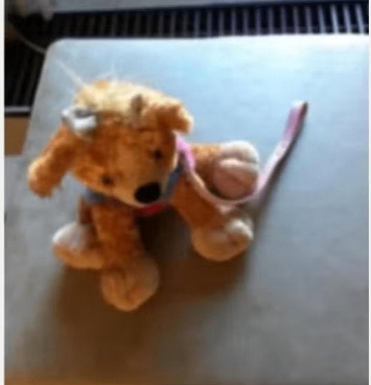 Knuffel hondje hoogte 25 cm., Ophalen of Verzenden, Zo goed als nieuw, Hond