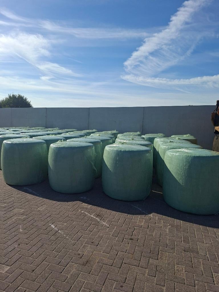 Sorghum veevoer, Dieren en Toebehoren, Ophalen of Verzenden, Vee