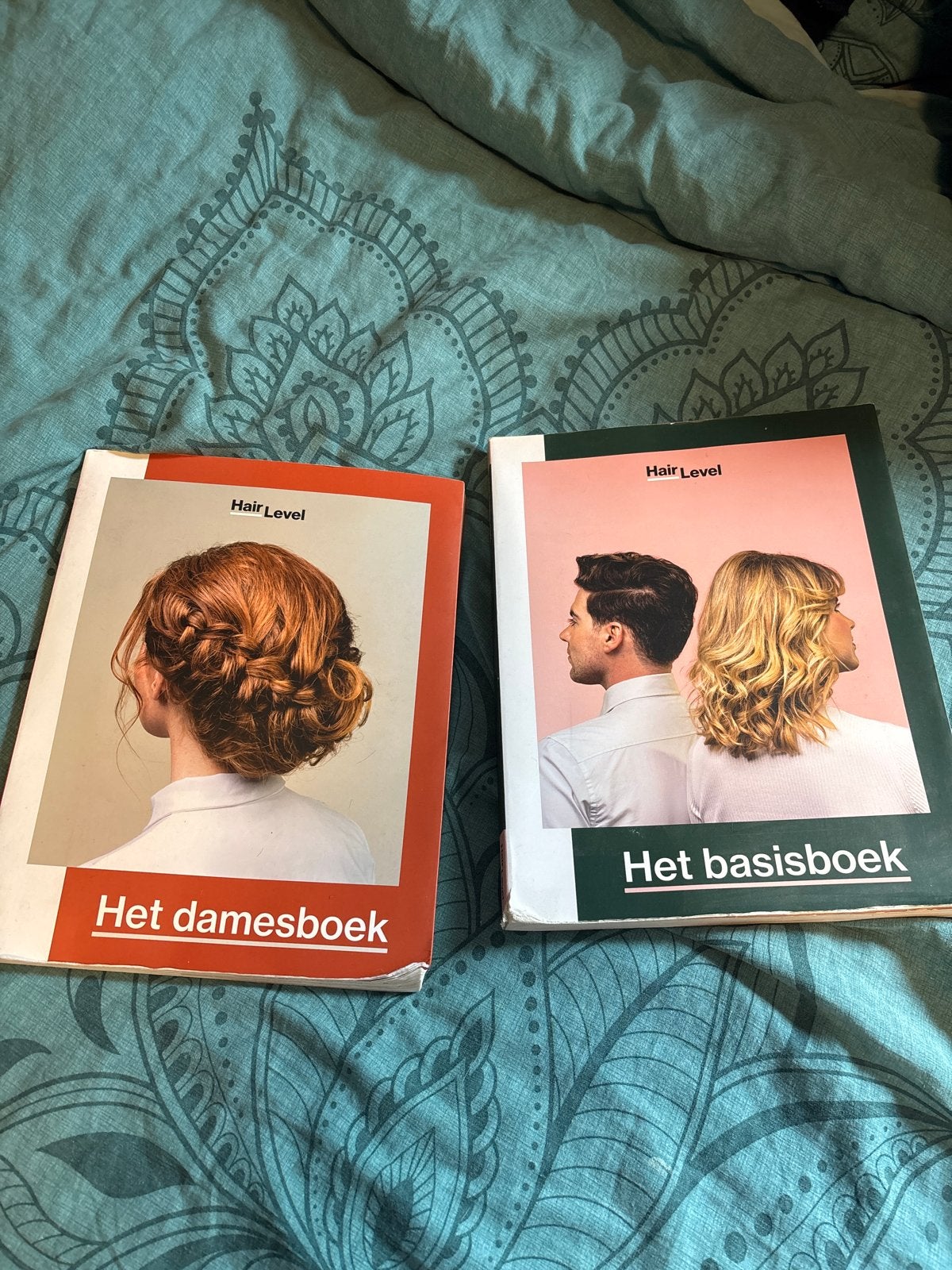 Hair Level: Het damesboek & Het basisboek (kappersboeken), Ophalen of Verzenden, Gelezen, MBO