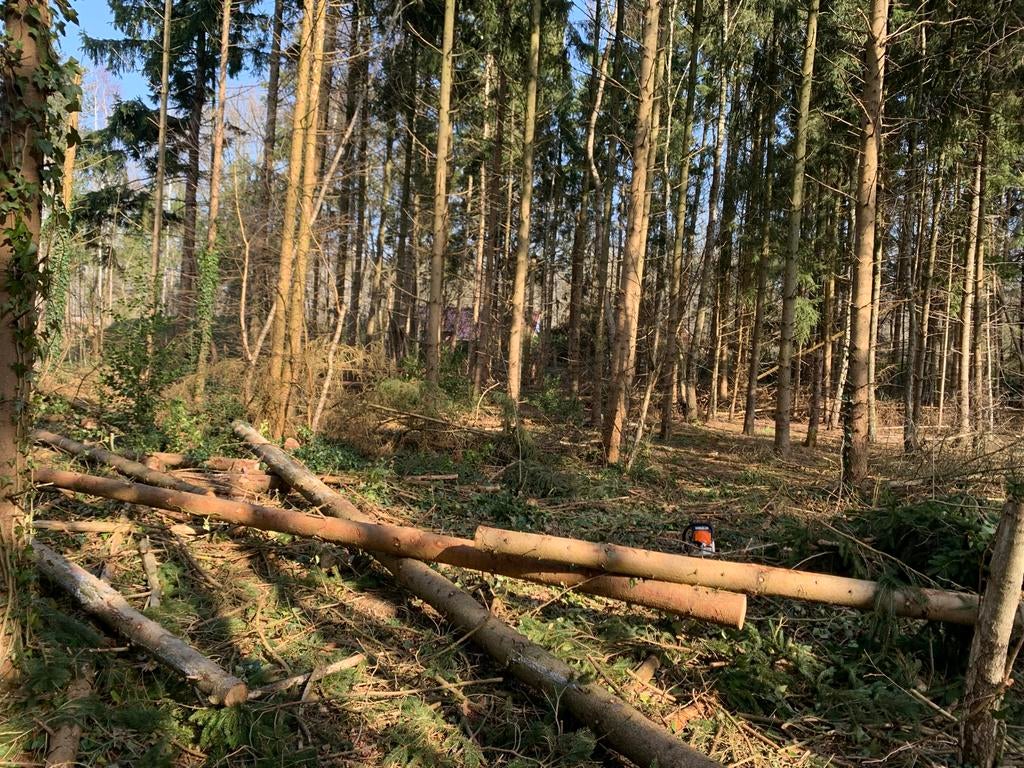 Rondhout Fijnspar Vurenhout - Diverse Lengtes, Ophalen, Overige typen, Nieuw, 300 cm of meer