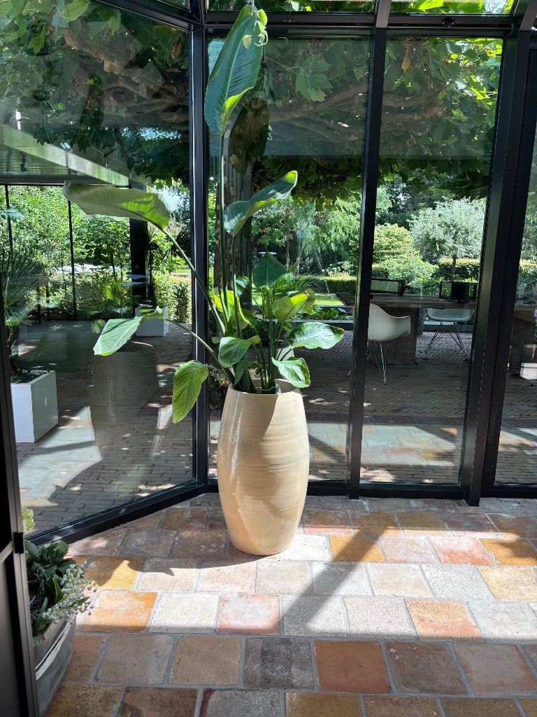 Pot met plant 2 stuks, Ophalen, Rond, Steen, Minder dan 30 cm