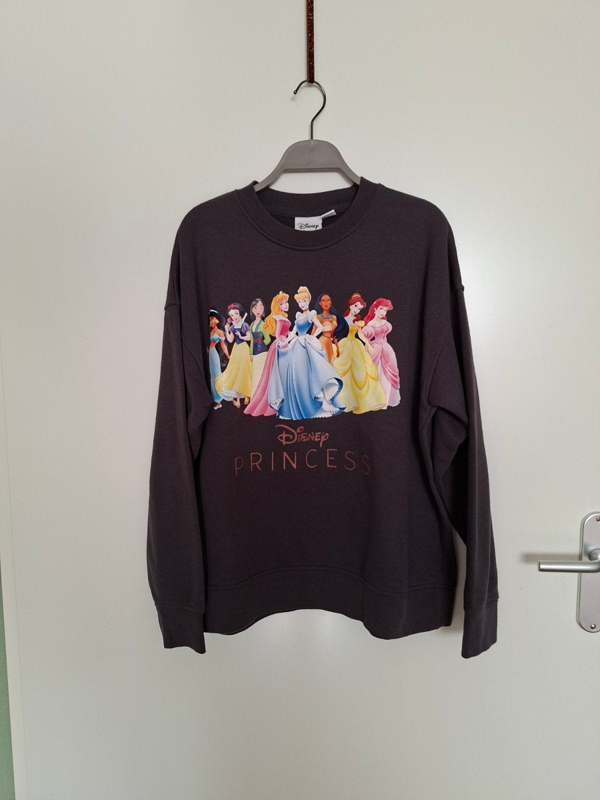 Disney Princess sweater maat 38/40, Maat 38/40 (M), Disney, Ophalen of Verzenden, Zo goed als nieuw
