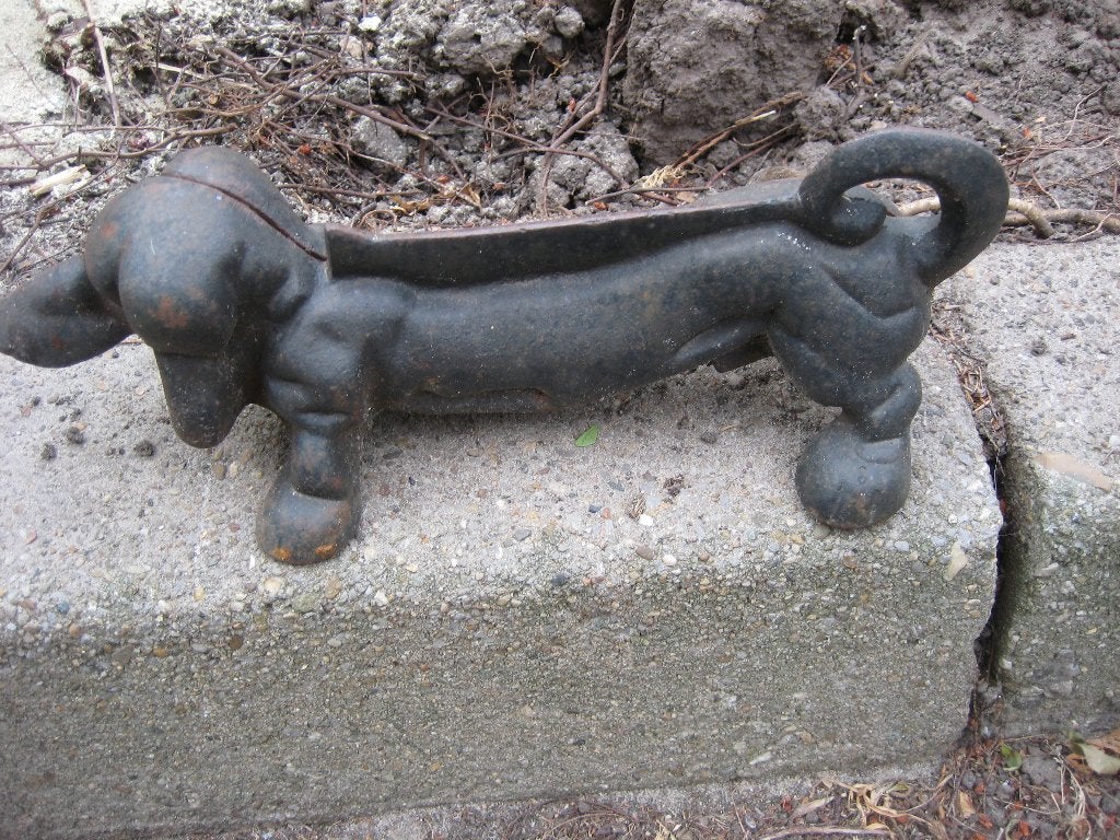 voetveeg tekkel, Ophalen of Verzenden, Zo goed als nieuw, Dier