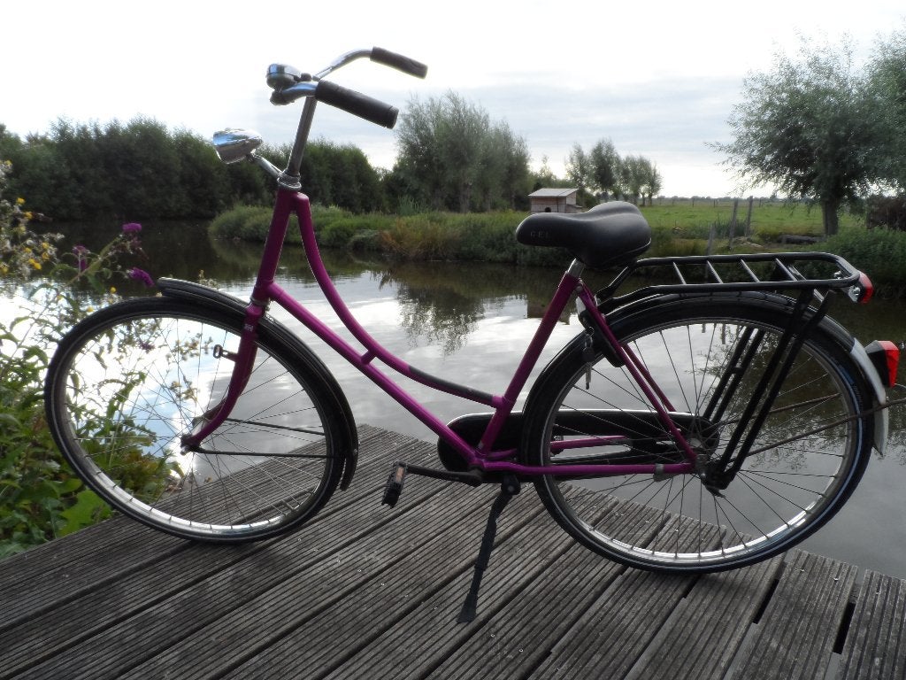 dames fiets 28 inch, Fietsen en Brommers, Terugtraprem, 53 tot 56 cm, Zo goed als nieuw, Ophalen
