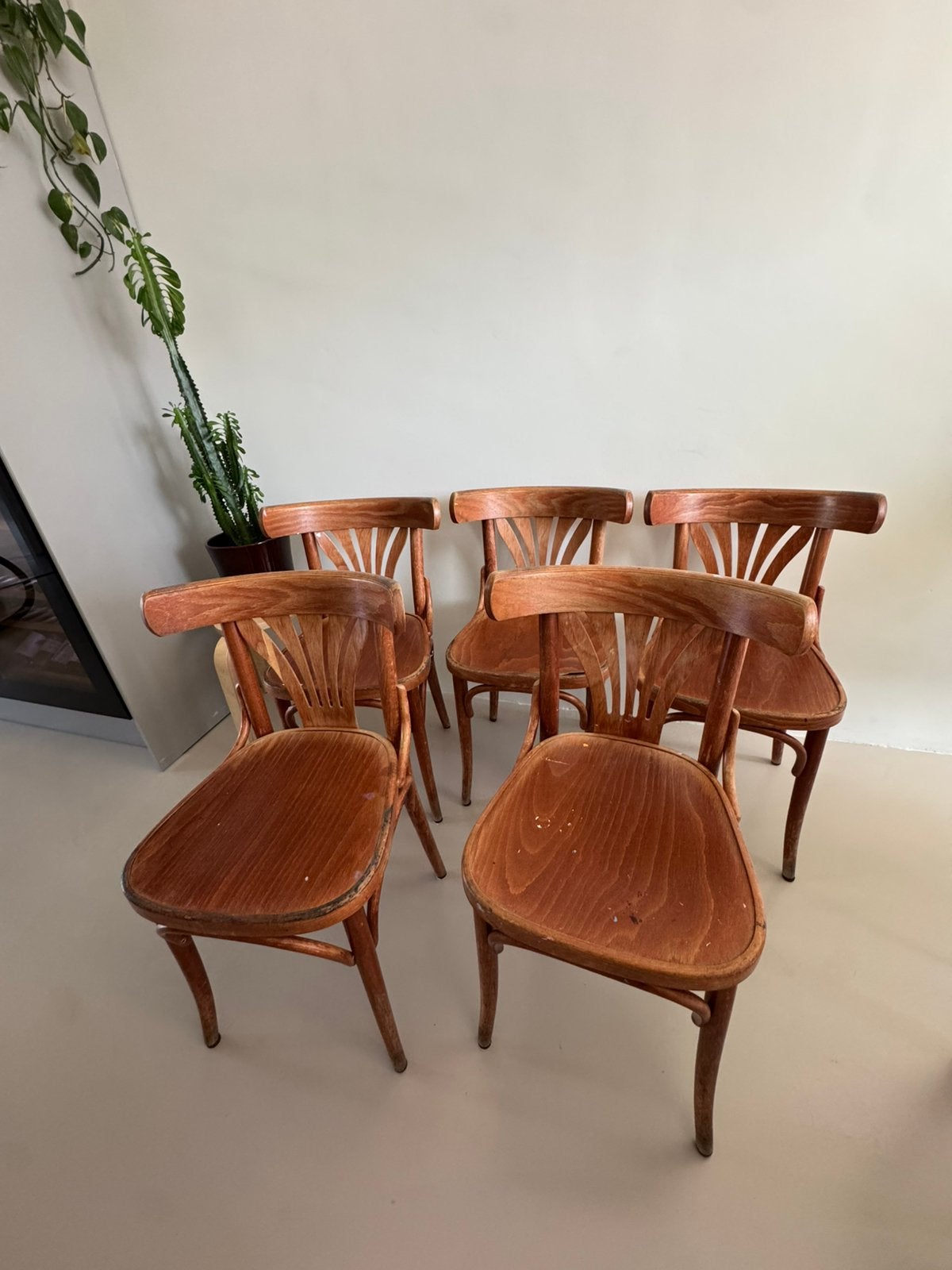 Houten cafestoelen Thonet, Gebruikt, Bruin, Ophalen of Verzenden, Vijf, Zes of meer stoelen