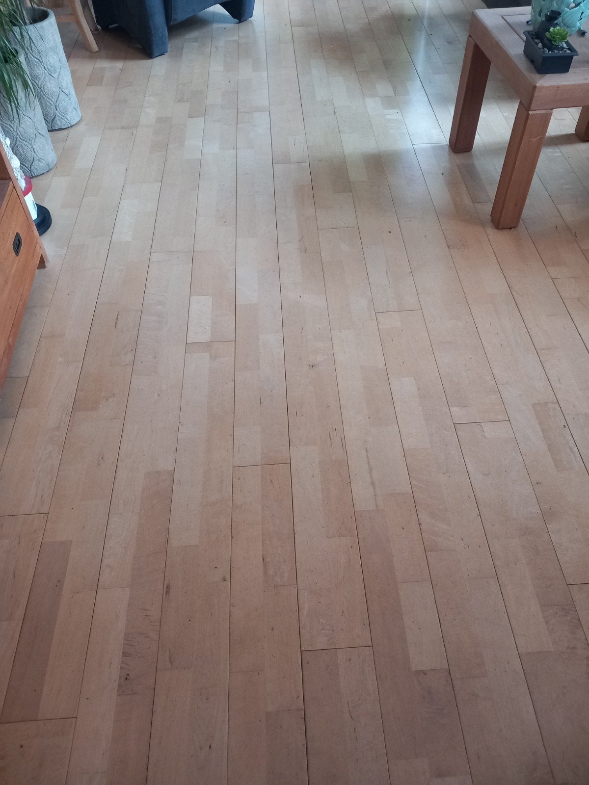 Massief Esdoorn Vloer 43m² + Primer & Lak - Nieuw, Ophalen