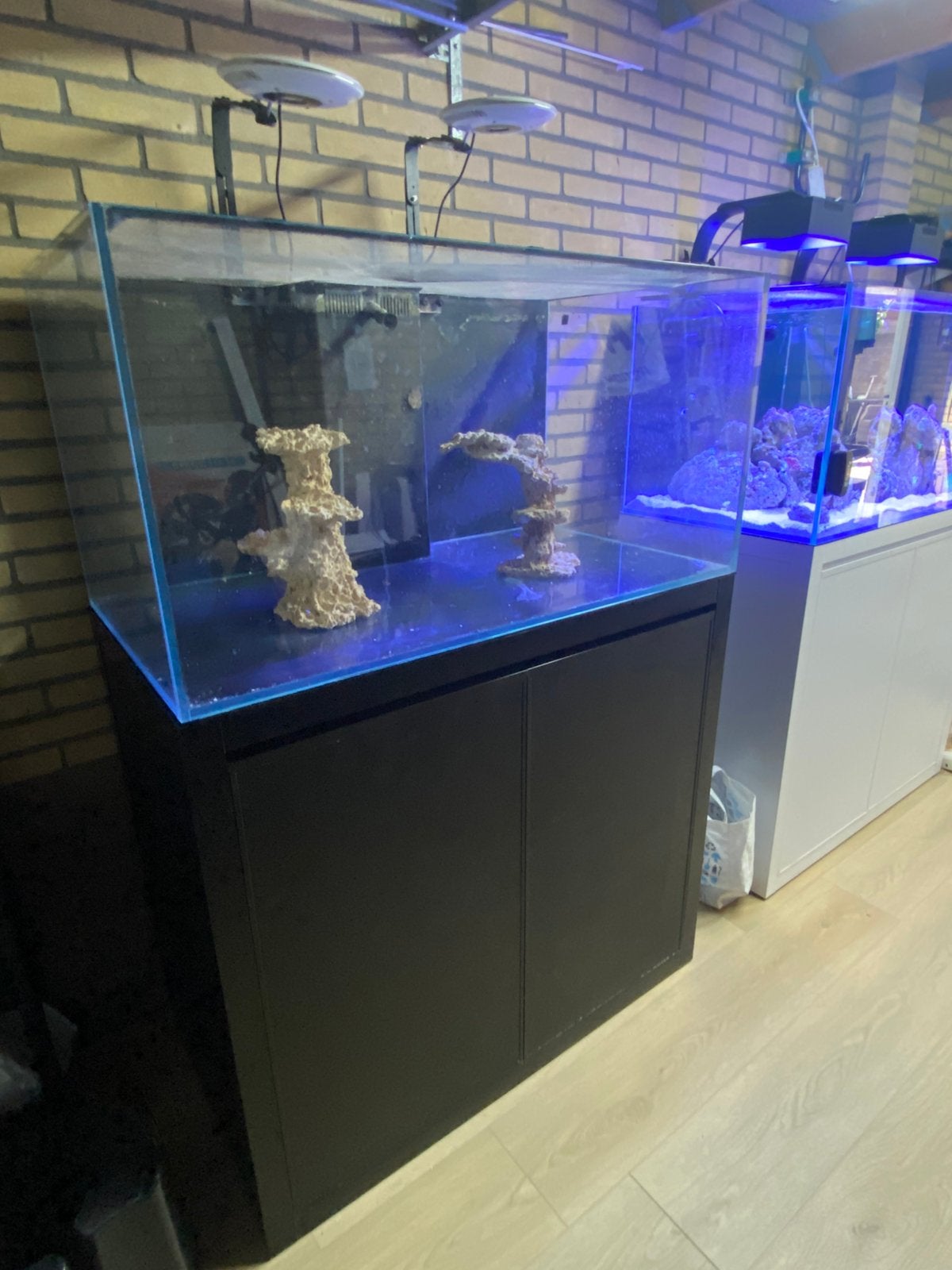 Blue Marine Reef 350 Zeewateraquarium, Ophalen, Gebruikt, Leeg aquarium, Blue Marine