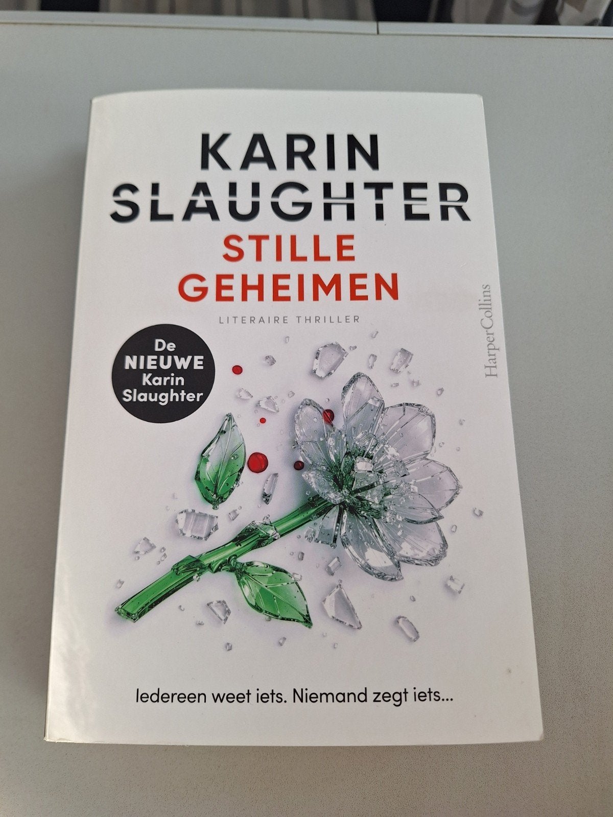Karin Slaughter stille geheimen, Boeken, Ophalen of Verzenden, Zo goed als nieuw, Karin Slaughter