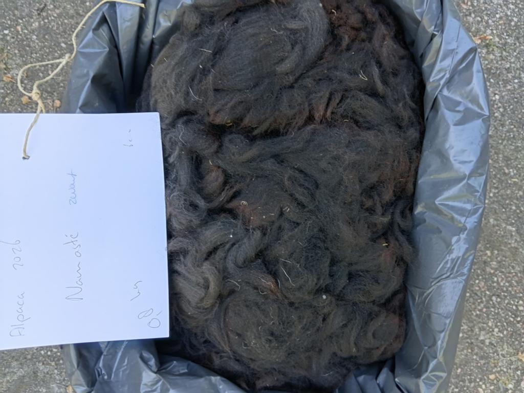 Zwarte alpaca vacht van cria Namasté met veel crimp, Hobby en Vrije tijd, Spinnewielen en Spinnen, Ophalen of Verzenden, Nieuw