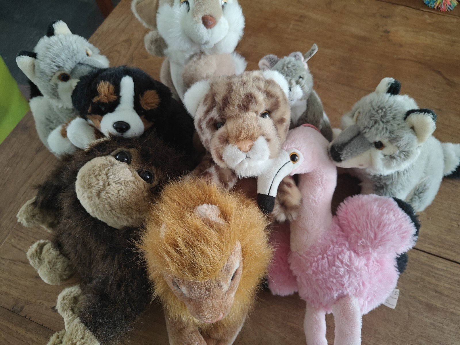 Grote collectie knuffels: diverse dieren, Kinderen en Baby's, Speelgoed | Knuffels en Pluche, Gebruikt, Middelgroot (20 tot 80 cm)