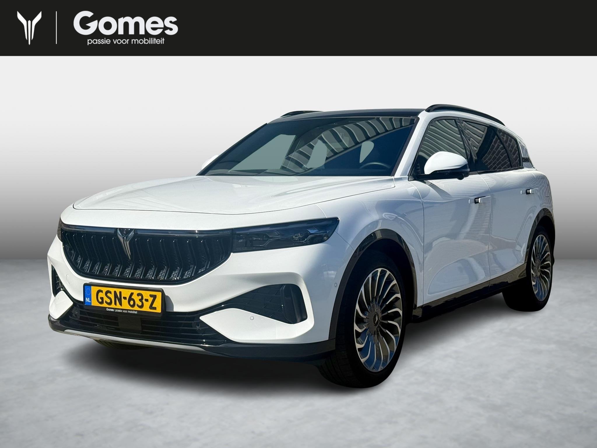 VOYAH Free Business Edition 4WD 106 kWh, Auto's, Voyah, Automaat, Gebruikt, Automatische klimaatregeling, Wit