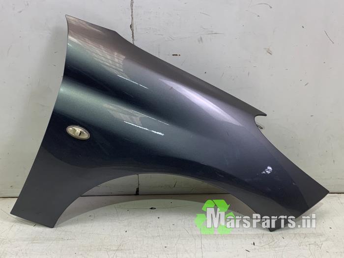 Scherm rechts-voor van een Peugeot 206 PLUS (KTH), Gebruikt, -, -, Ophalen of Verzenden