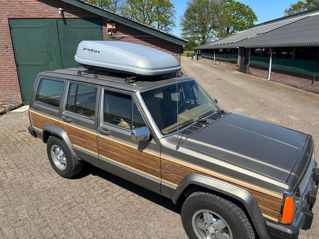 Grote dakkoffer Probox 430, Auto diversen, Ophalen, Zo goed als nieuw