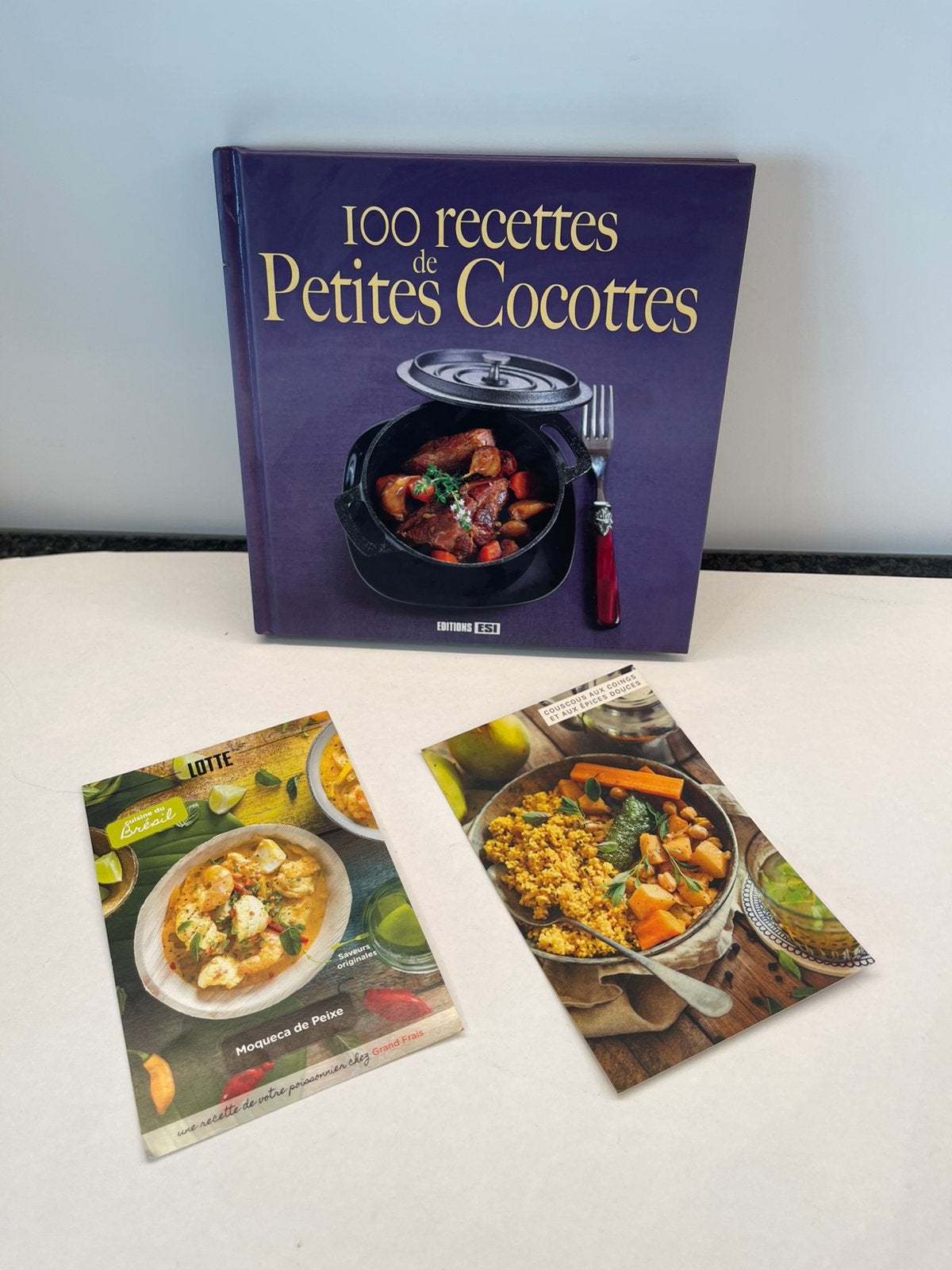 Kookboek: "100 recettes de Petites Cocottes", Ophalen of Verzenden, Zo goed als nieuw, Frankrijk