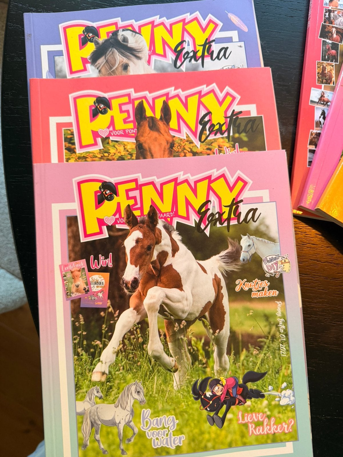 Penny’s (28) Penny seizoensboeken (6) en Penny extra (3), Boeken, Meerdere comics, Ophalen of Verzenden, Zo goed als nieuw, Europa