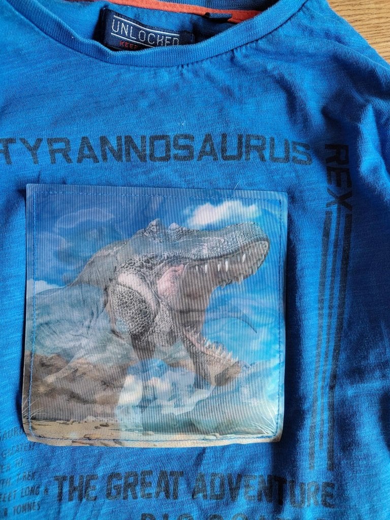 Longsleeve shirt met hologram van een dinosaurus, Ophalen of Verzenden, Gebruikt, Jongen, Shirt of Longsleeve