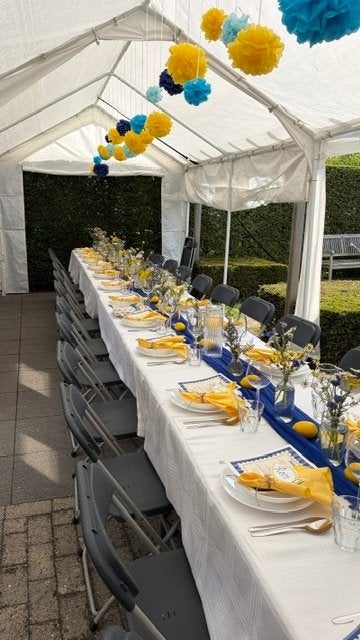 21 diner servies en (tafel)aankleding, Ophalen of Verzenden, Zo goed als nieuw, Overige stijlen, Overige typen