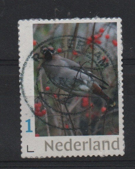 ‹(•¿•)› nl m0013 vogel, Ophalen of Verzenden, Na 1940, Gestempeld
