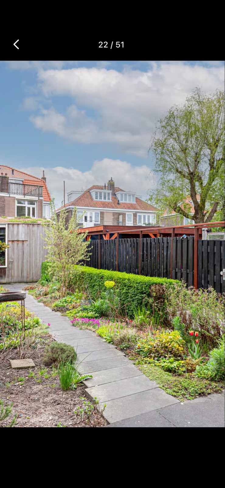 Buxus haag van ongeveer 12 meter lang, Vaste plant, Bloeit niet, Halfschaduw, Ophalen