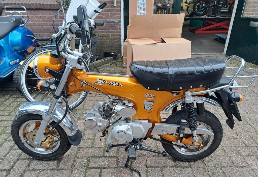 Skyteam 125 cc motor, Motoren, Motoren | Overige merken, Particulier, Toermotor, Ophalen