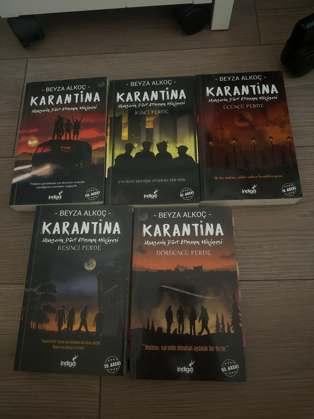 Karantina Serie - Beyza Alkoç (Turkse Boeken), Ophalen of Verzenden, Gelezen