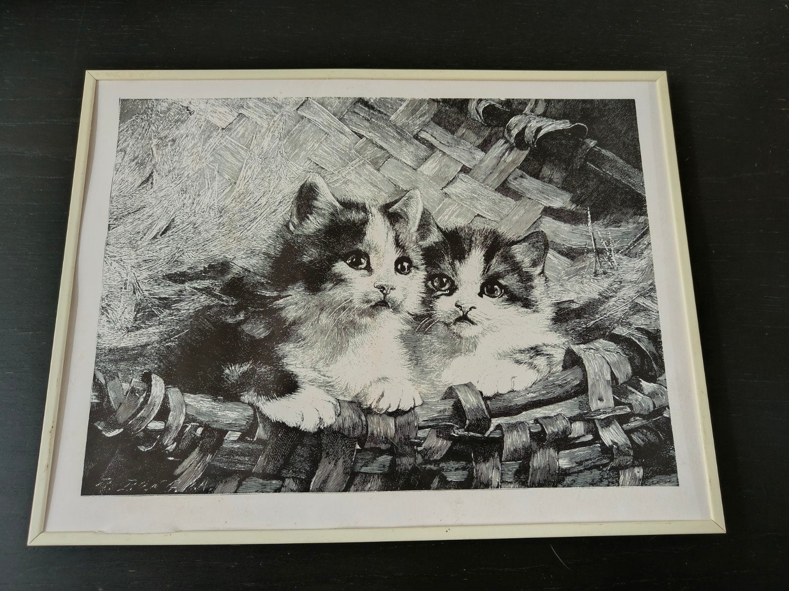 Julius Adam II schattige kittens in mand - Zwart-wit print, Minder dan 50 cm, Gebruikt, Ophalen of Verzenden, Print