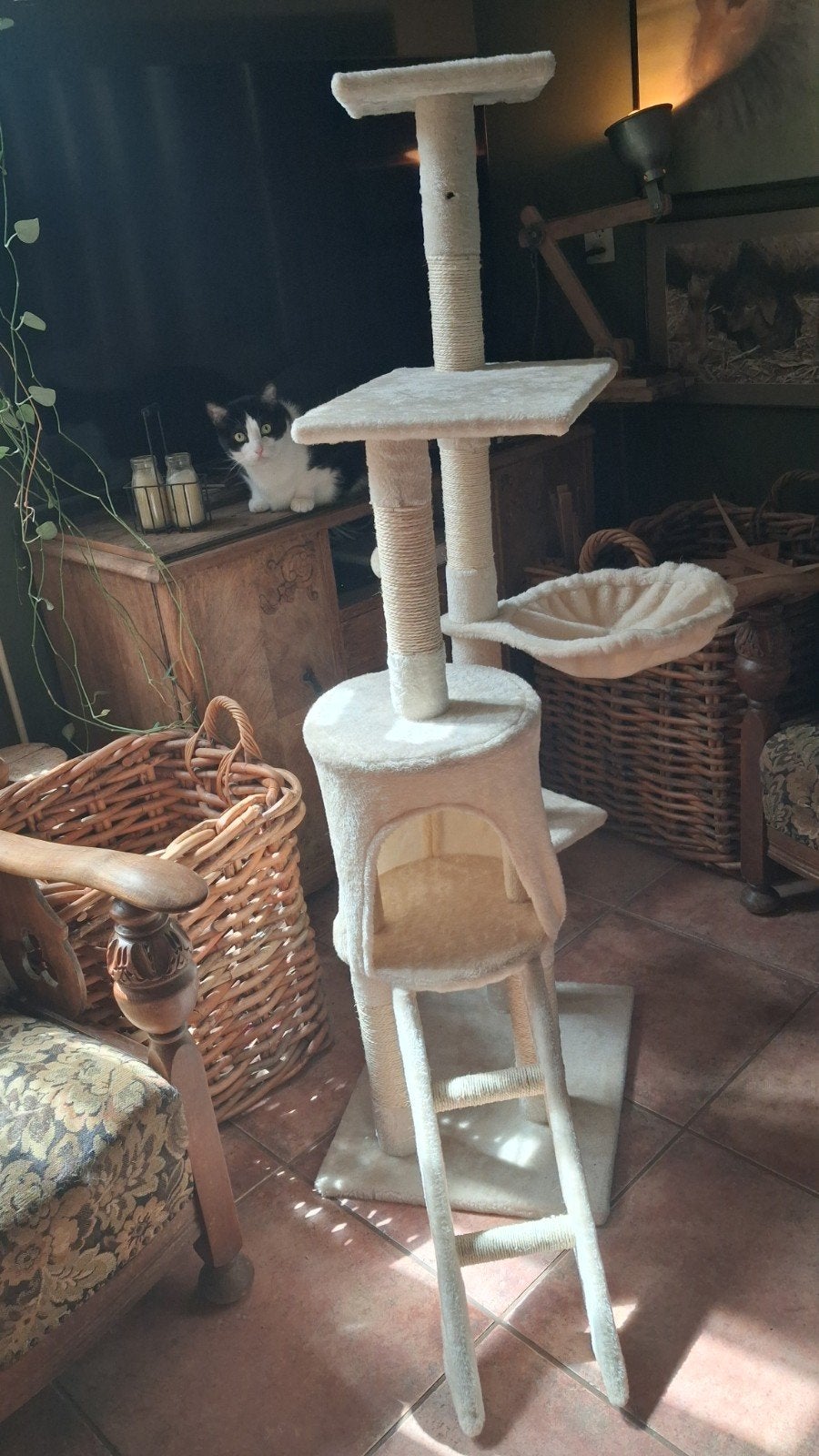 Kattenkrabpaal, Dieren en Toebehoren, Ophalen of Verzenden, Zo goed als nieuw, Krabpaal