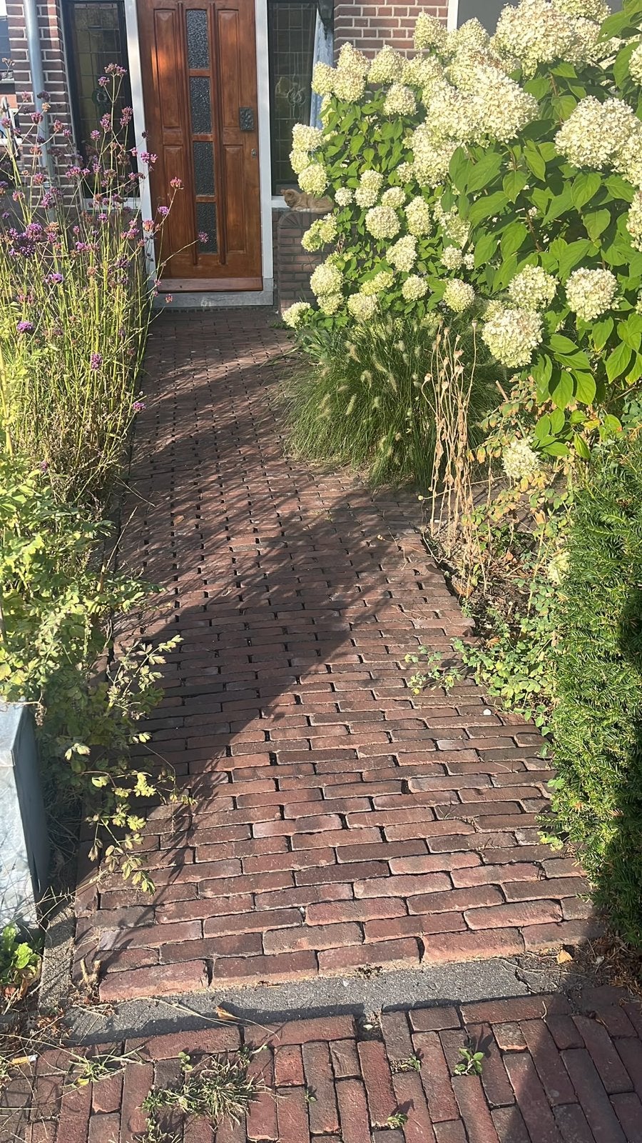 Oude getrommelde waaltjes, zelf eruit halen (8m2), Tuin en Terras, Ophalen, Overige materialen, Gebruikt, Klinkers