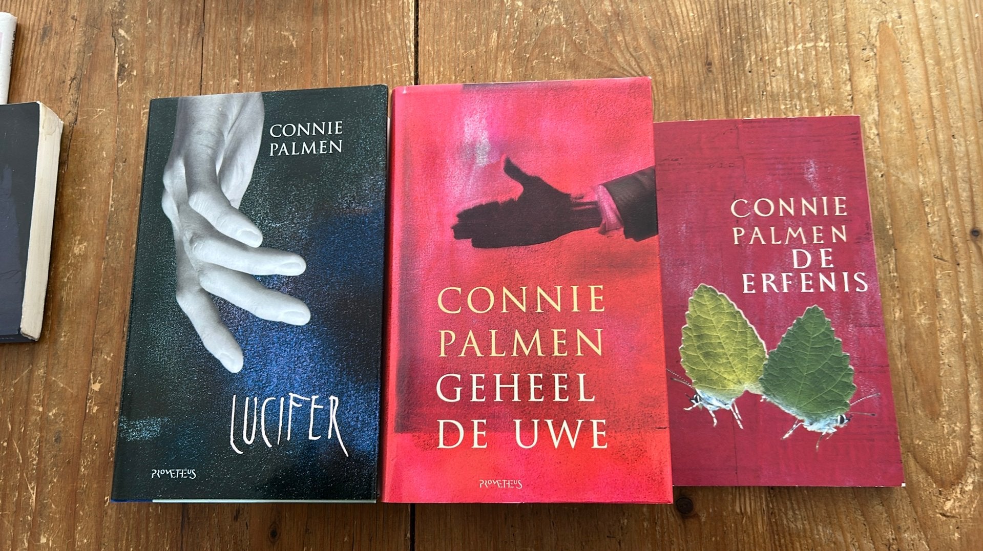 3X Connie Palmen, Ophalen of Verzenden, Zo goed als nieuw