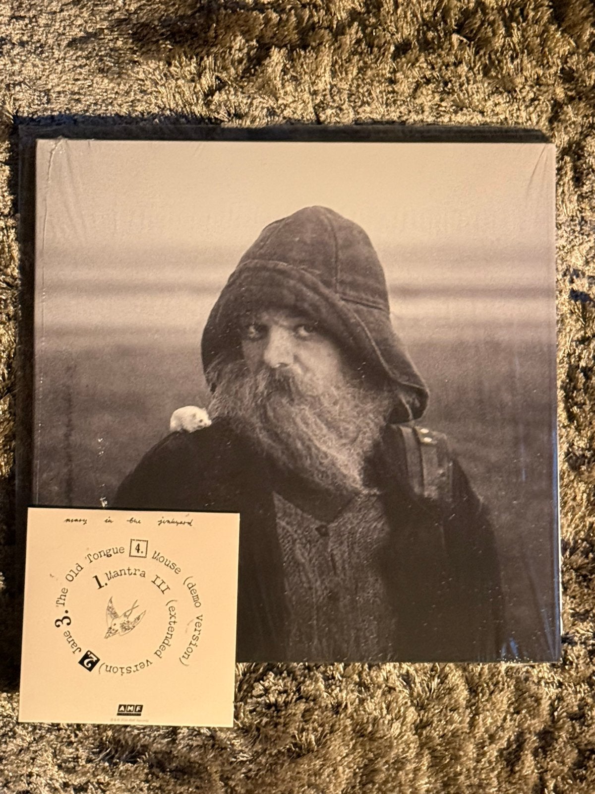 Mary in the Junkyard –Role Model Hermit Seafoam Green Cloudy, LP, Colored vinyl, Ophalen of Verzenden, Zo goed als nieuw