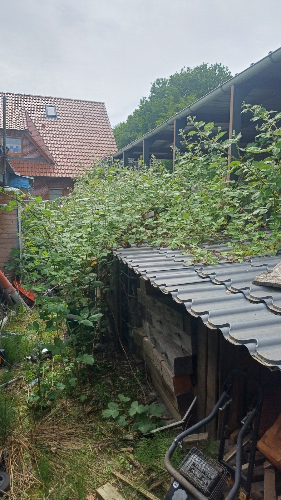 Gezocht, tuinman/opruimer, Ophalen