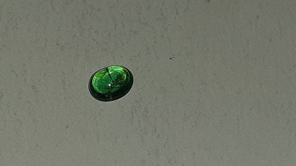 Tsavorite Cabochon, Ophalen of Verzenden, Nieuw