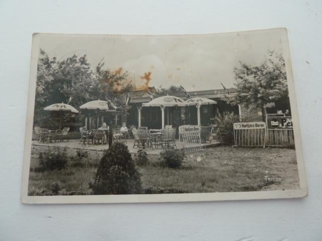 Oosterhout circa 1955-60 Vakantie-oord 't Haasje, Ophalen of Verzenden, 1940 tot 1960, Gelopen, Noord-Brabant