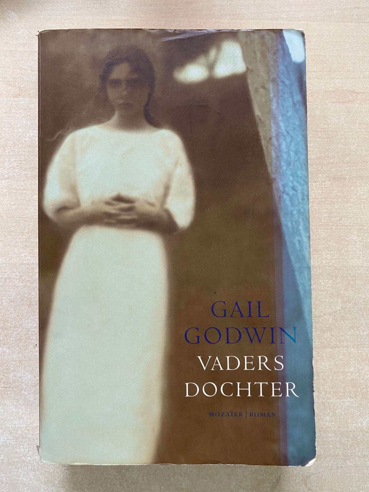 Vaders dochter (Gail Godwin), Ophalen of Verzenden, Gelezen