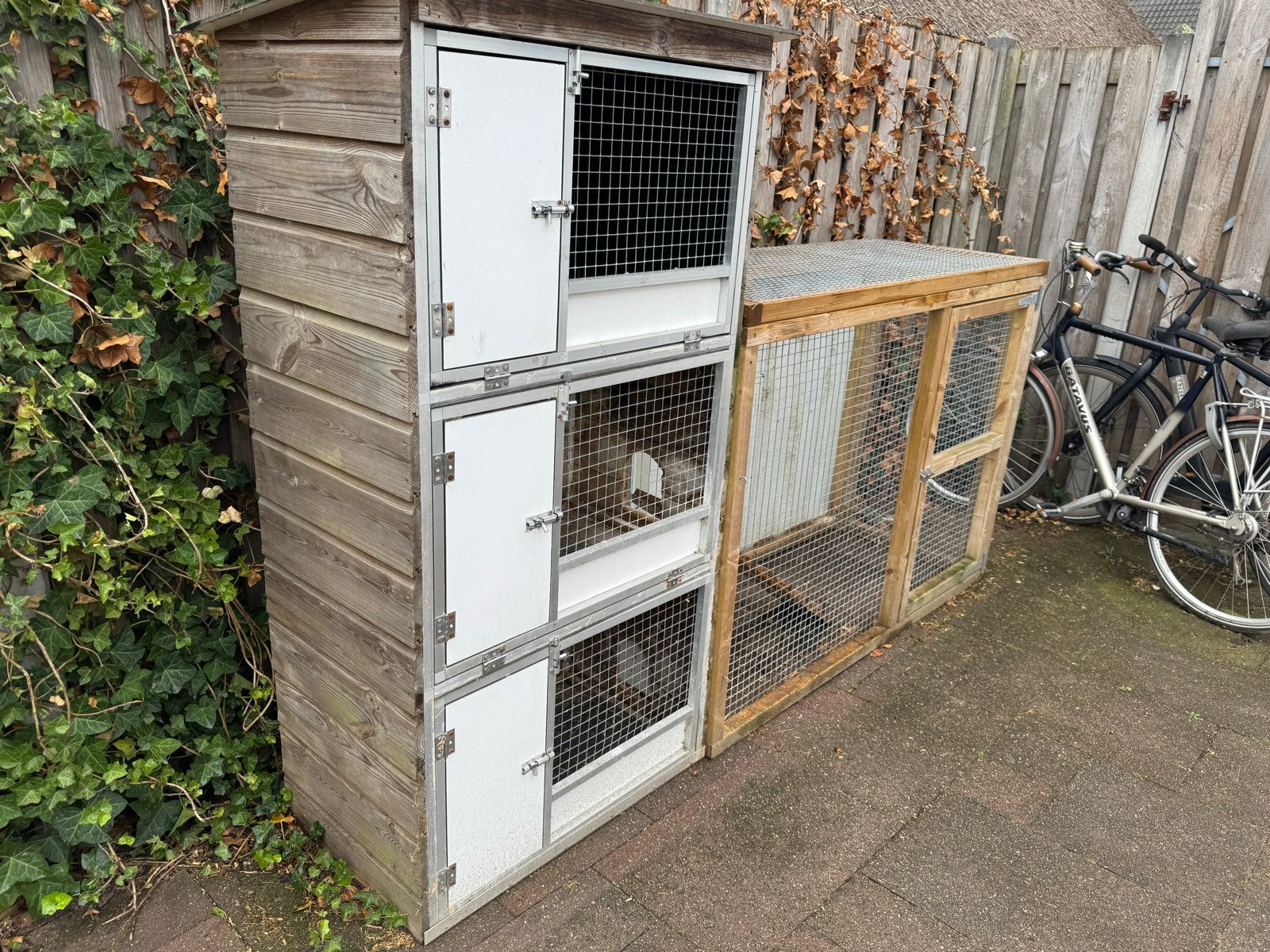 Konijnenhok(ken) met buitenren, Ophalen of Verzenden, 90 cm of meer, Konijn, Hok