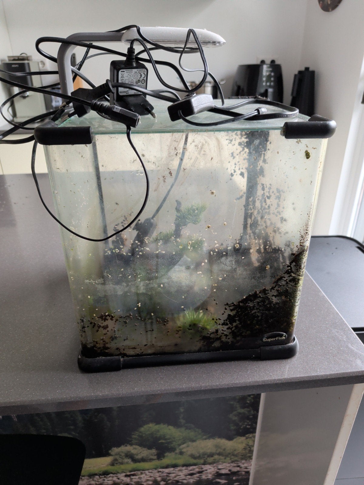 aquarium gratis, Ophalen, Leeg aquarium