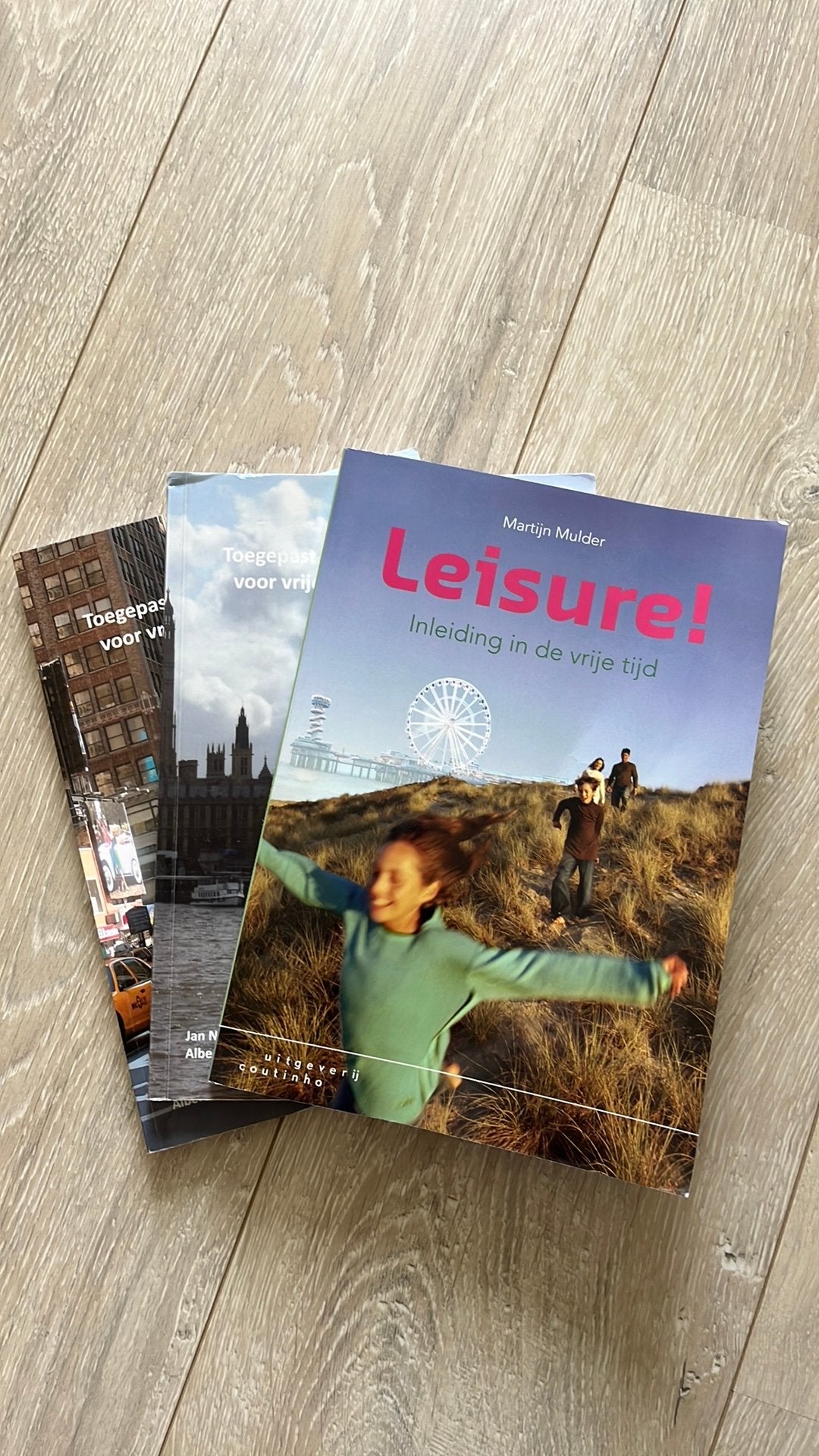 Martijn Mulder - Leisure!, Sociale wetenschap, Ophalen of Verzenden, Zo goed als nieuw, Martijn Mulder