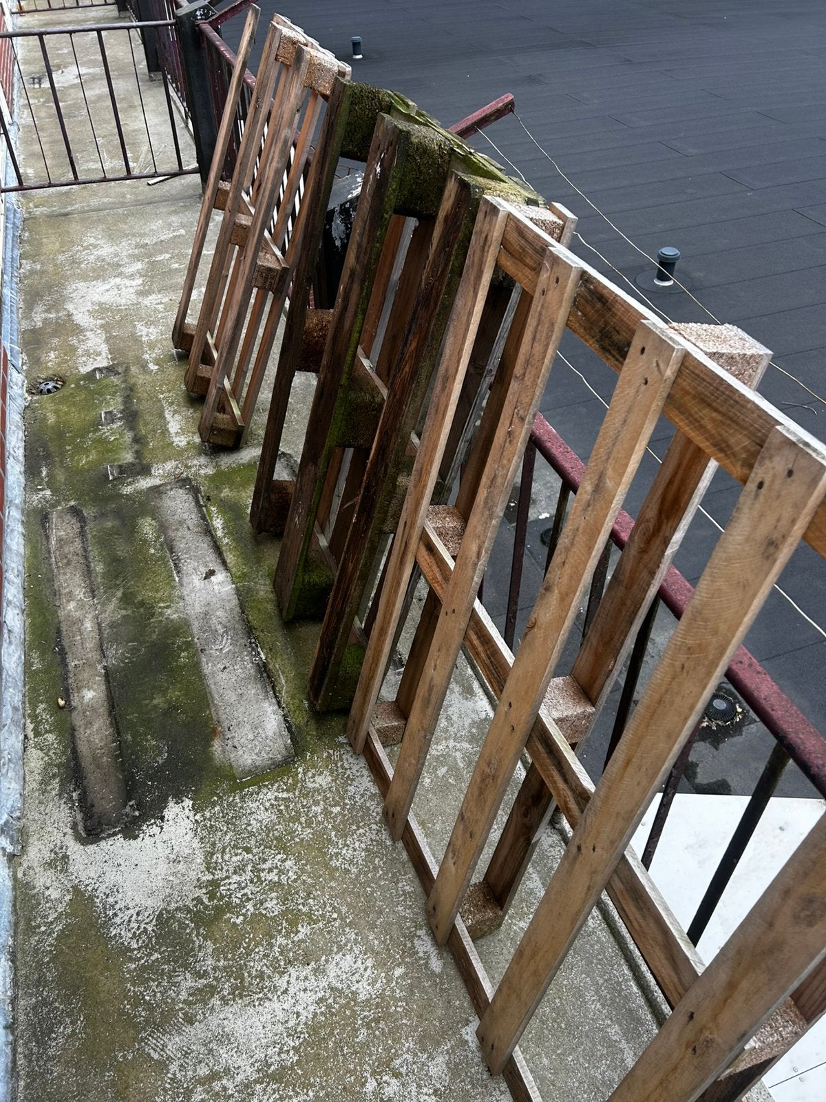3x pallets (1x EPAL, 2x anders), Ophalen, Gebruikt, Pallet, Minder dan 200 cm