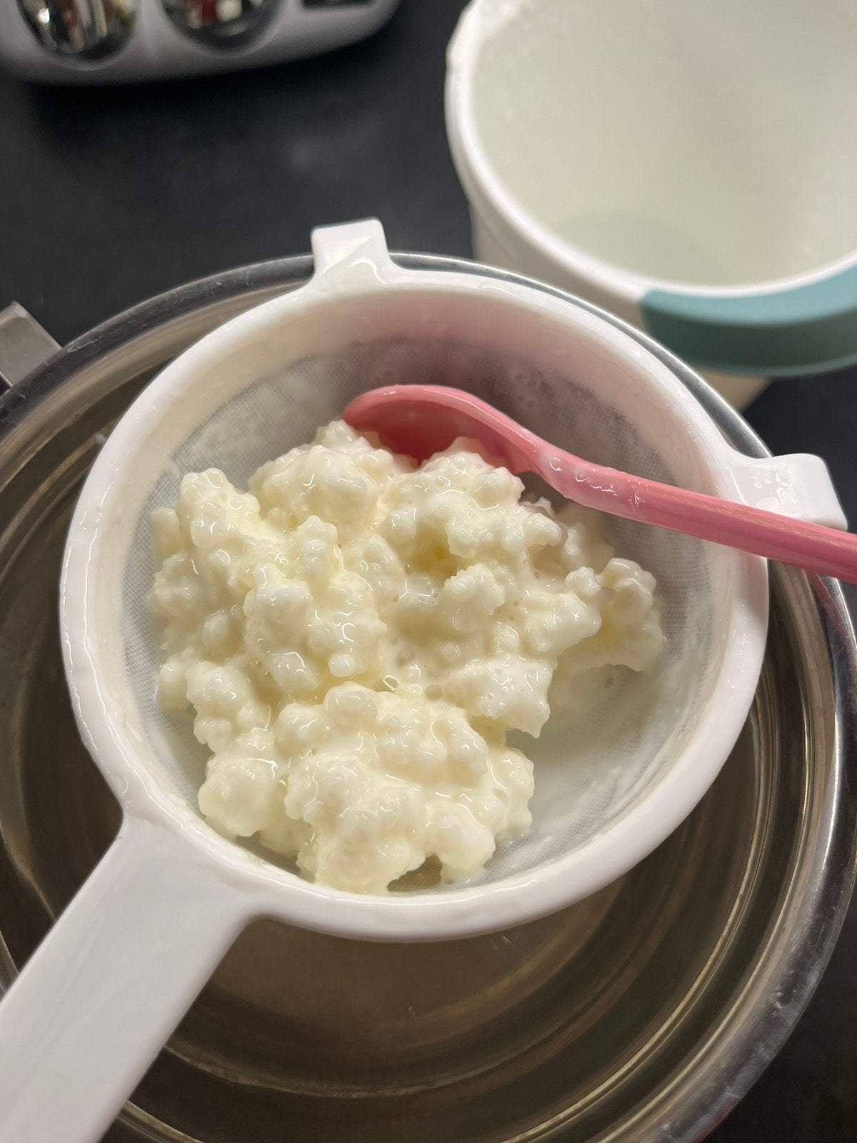 Gratis melkkefir korrels, Diversen, Verzenden