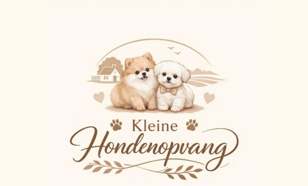 Honden opvang vakantie