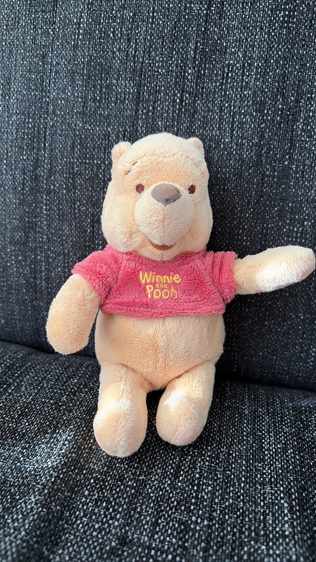 Winnie the Pooh, Overige karakters, Ophalen, Gebruikt, Beer