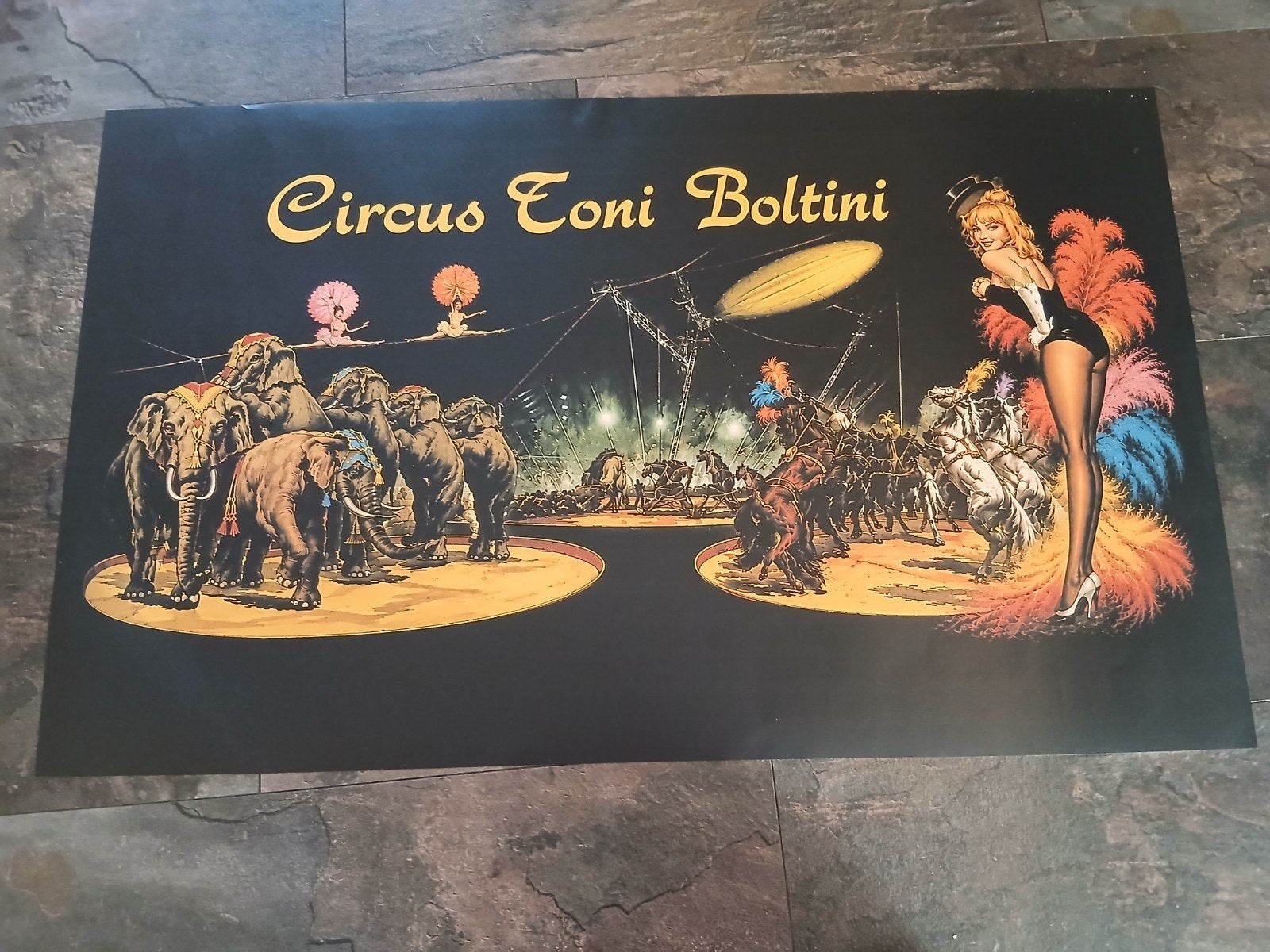 Poster Circus Toni Boltini, Ophalen of Verzenden, A1 t/m A3
