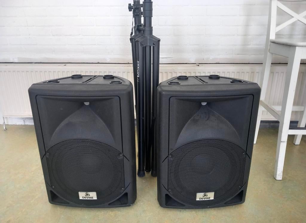 Devine Artis 12 luidspreker boxen, Ophalen of Verzenden, Zo goed als nieuw, Minder dan 500 watt