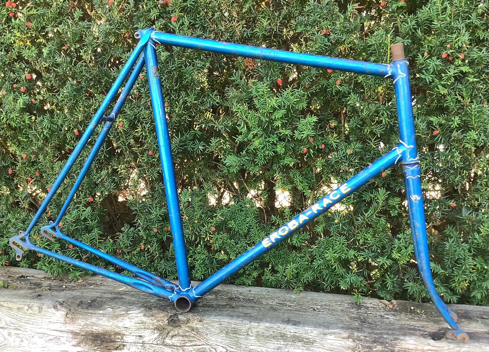 Eroba Race frameset €175, Fietsen en Brommers, 59 cm of meer, Ophalen