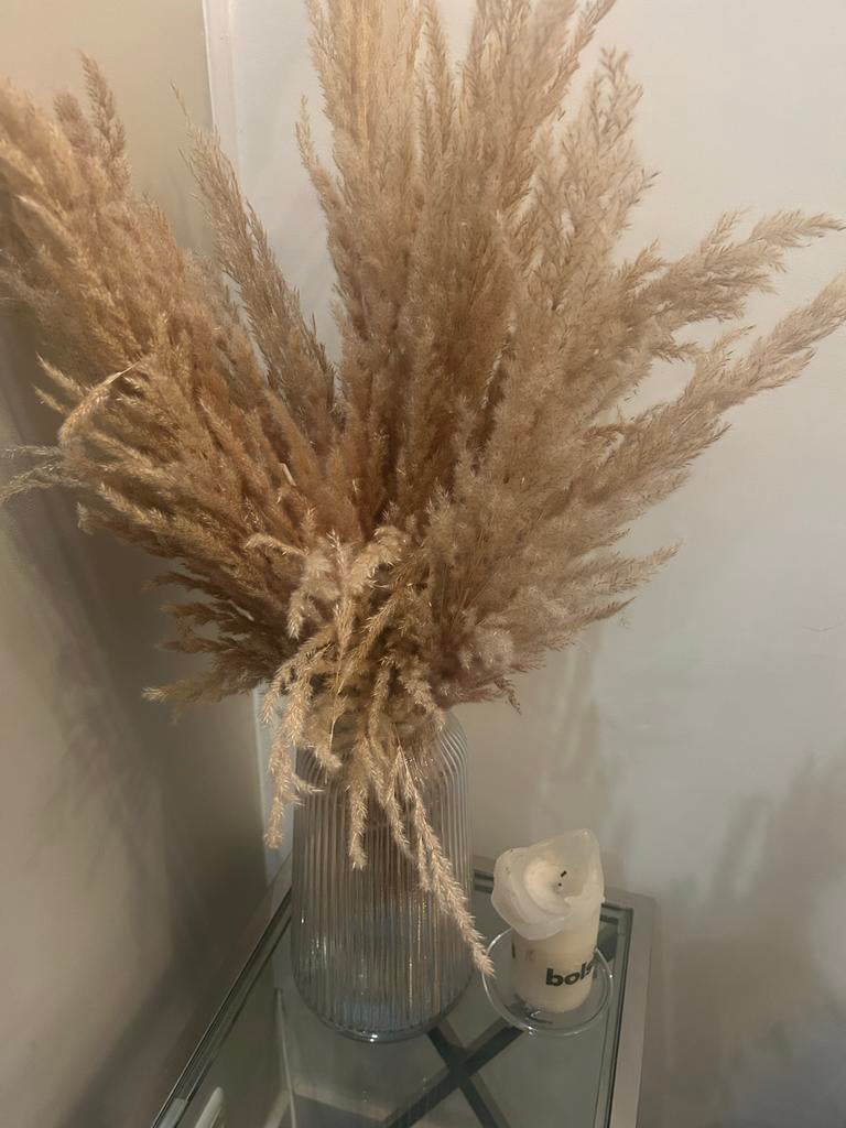 Hoge glazen vaas met pampas pluimen, Overige kleuren, Ophalen of Verzenden, 75 cm of meer, Glas